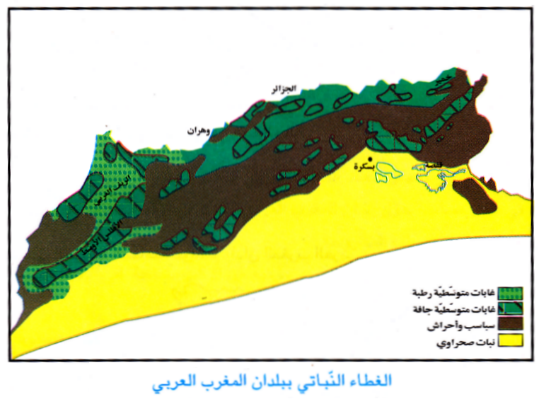 المناخ بالمغرب العربي