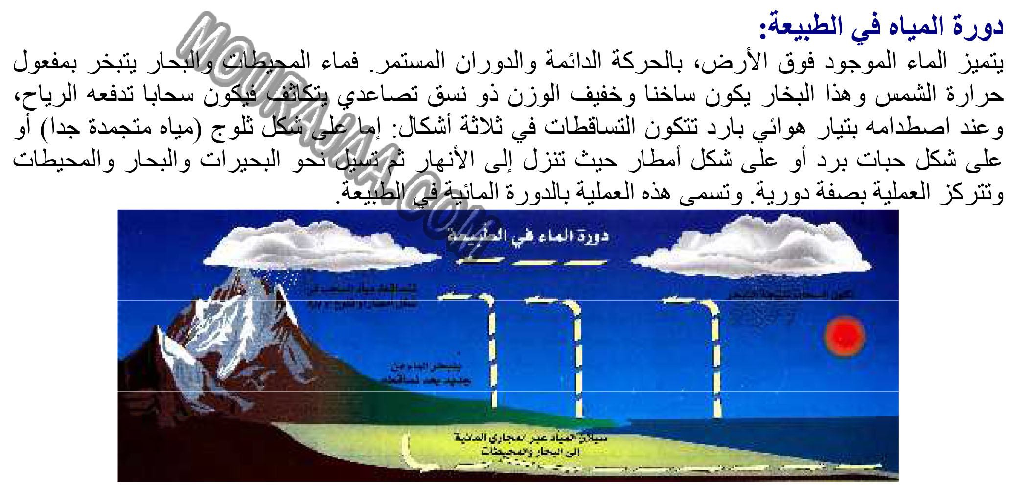 دورة المياه فــي الطبيـعة